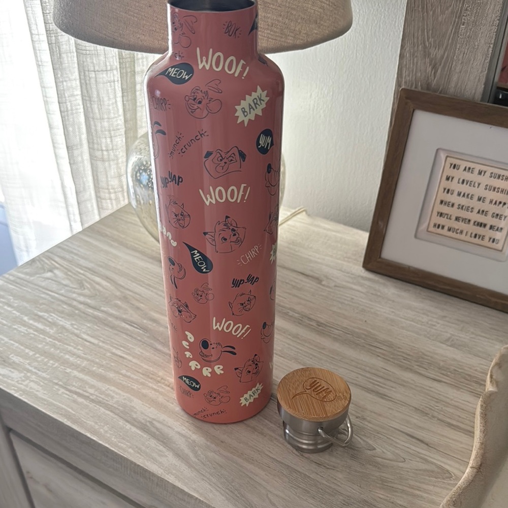 Disney World Stainless Steel Water Bottle